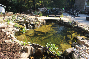 Natural ecosystem pond build with bridge, stone patio and stone bordering walls