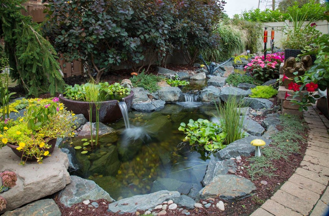 Gallery Springer Ponds