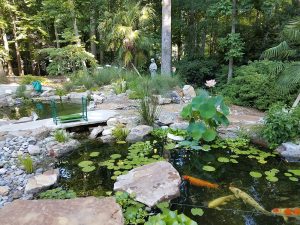Ecosystem fish pond with koi fish, lily pads, rock bridge, paths, and rock retaining walls, Raleigh, North Carolina
