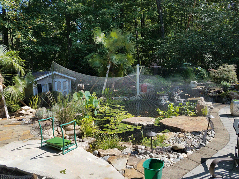 Pond Maintenance Springer Ponds