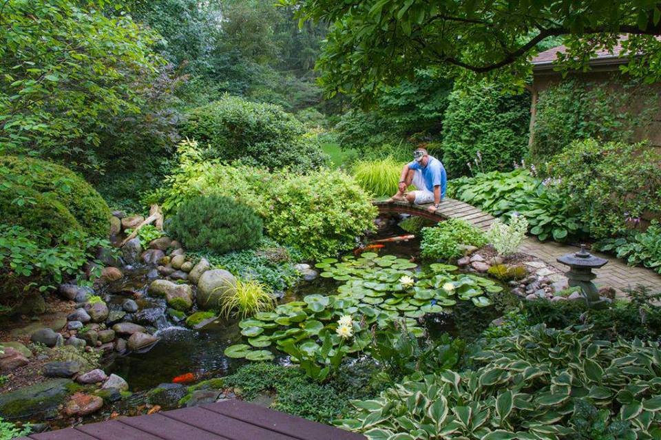 water feature and pond maintenance evaluation