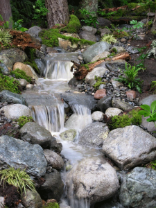 pondless waterfall with rock path and borders