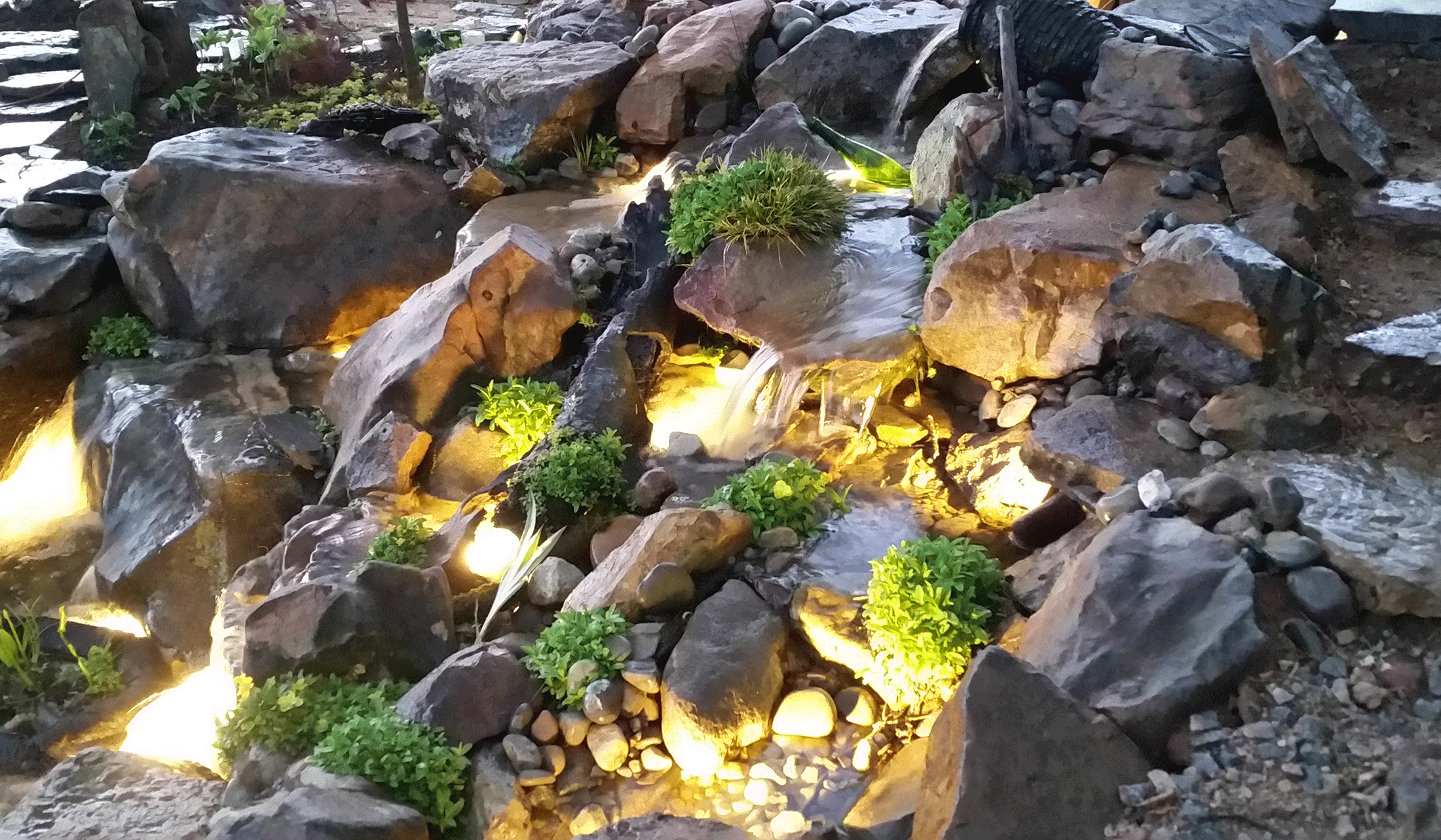 LED Lighting Springer Ponds