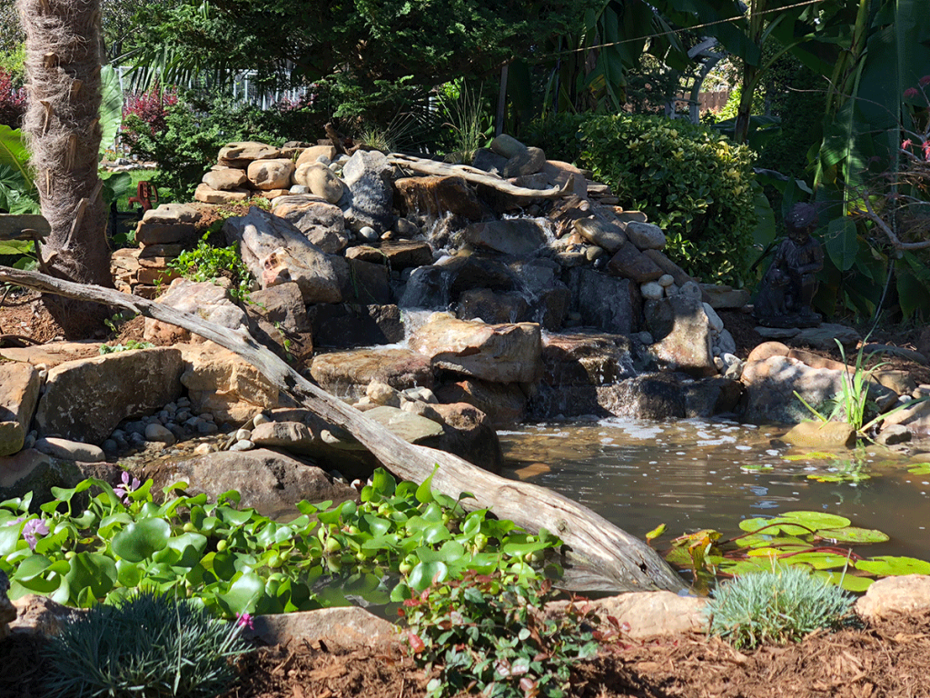 Custom Raleigh, North Carolina pond installation with waterfall, rock features and curated ecosystem.