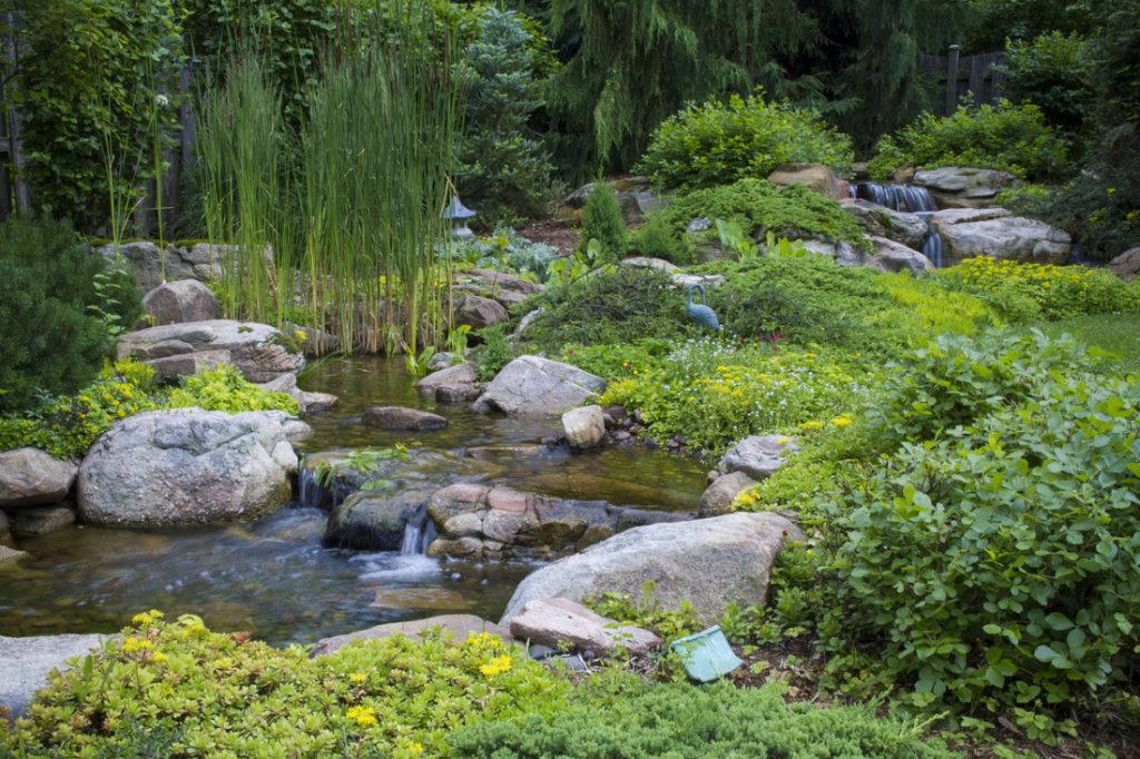 waterfall installation with stream, pond, and natural ecosystem